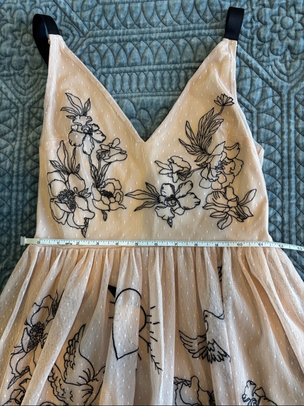 Express Tulle Dress with Black Floral Embroidery - Blush - Picture 2 of 6